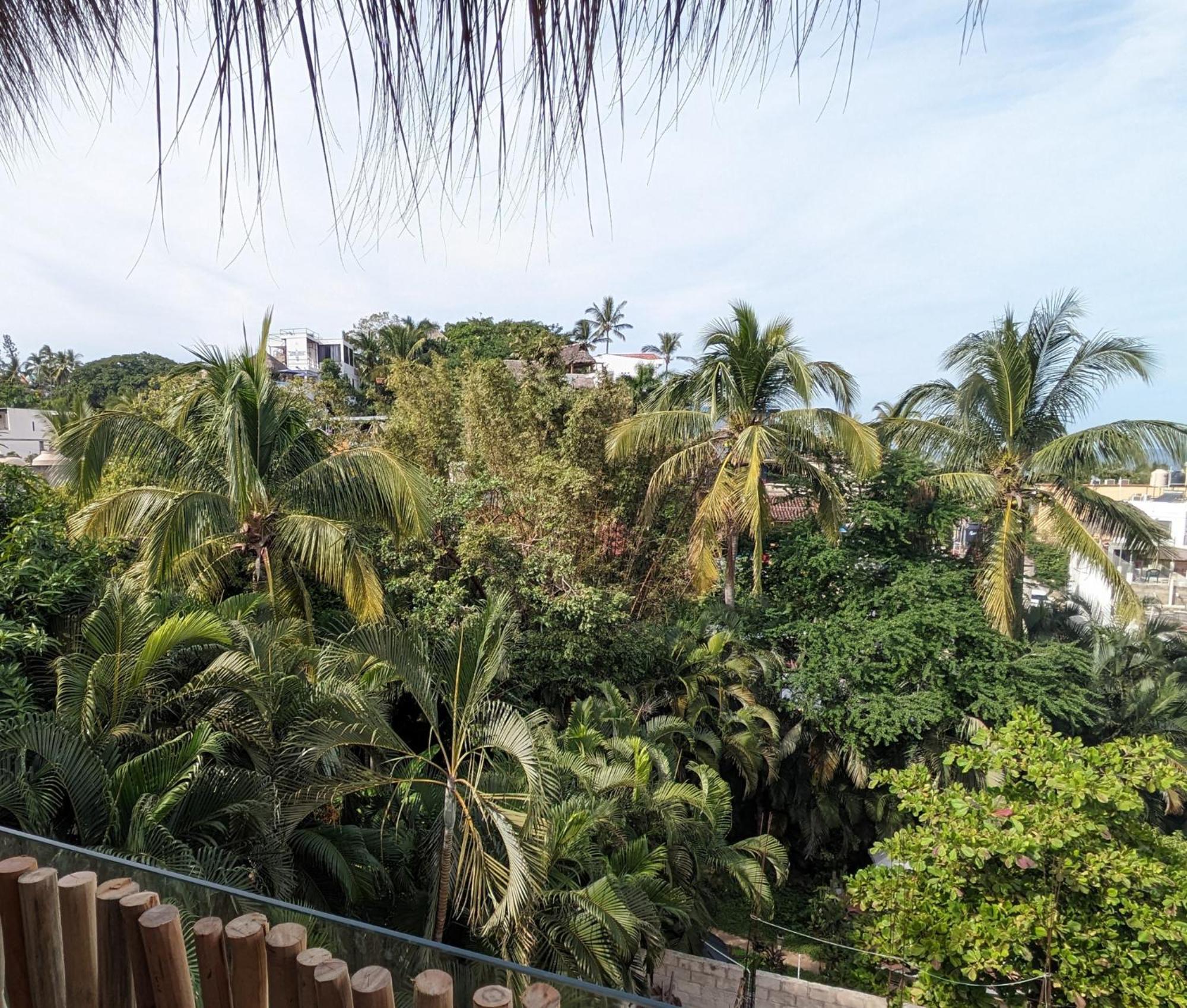 Hotel Casa Pepe Sayulita Exteriér fotografie